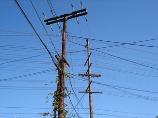 Telephone poles.